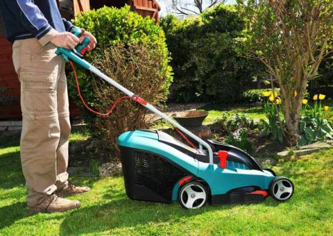 electric law mower in back yard